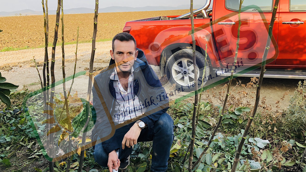 Güneş Fidan
