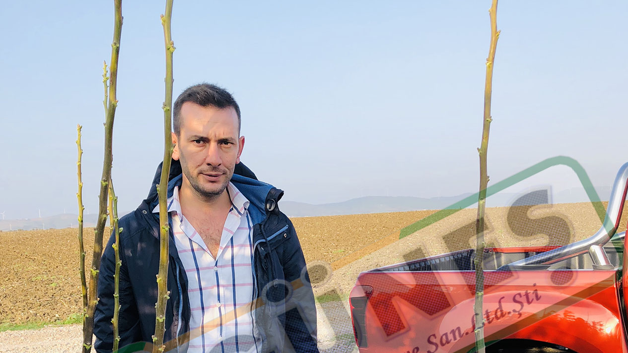 Güneş Fidan