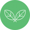 Yaprak Avatar